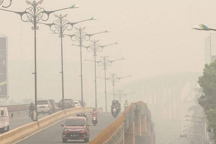 Pengendara menembus kabut asap dampak dari kebakaran hutan dan lahan di Pekanbaru, Riau, Kamis (12/9/2019). (ANTARA)