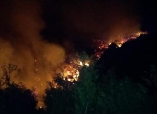 Lereng di Gunung Slamet yang kembali terbakar. (Photo: ISTIMEWA)