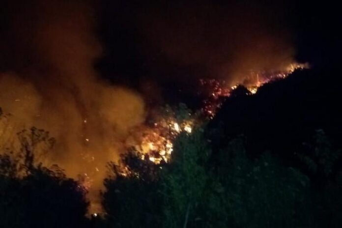 Lereng di Gunung Slamet yang kembali terbakar. (Photo: ISTIMEWA)