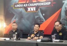 Lindu Aji