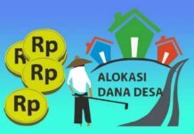 Alokasi Dana Desa