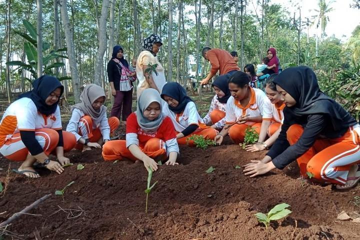 tanaman toga ditanam mahasiswa