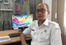 Iis Widya Harmoko
