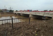 Jembatan Kaligawe di Sawah Besar