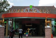 Taman Margasatwa Semarang Zoo