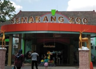 Taman Margasatwa Semarang Zoo