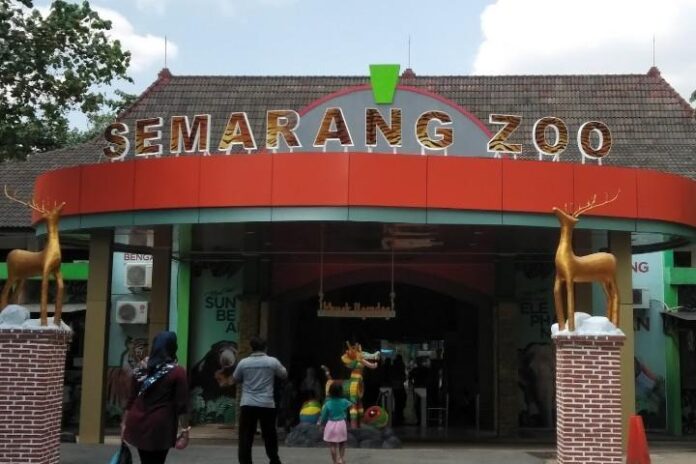 Taman Margasatwa Semarang Zoo