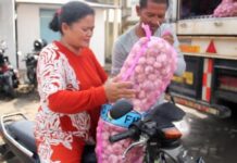 Bawang Putih Di Johar Baru