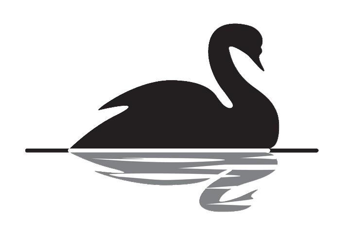 Fenomena Black Swan