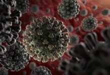 Corona Virus