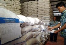 Pengecekan kualitas beras