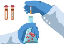Ilustrasi Rapid Test