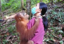 Citrakasih Nente