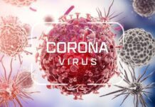 Corona Virus