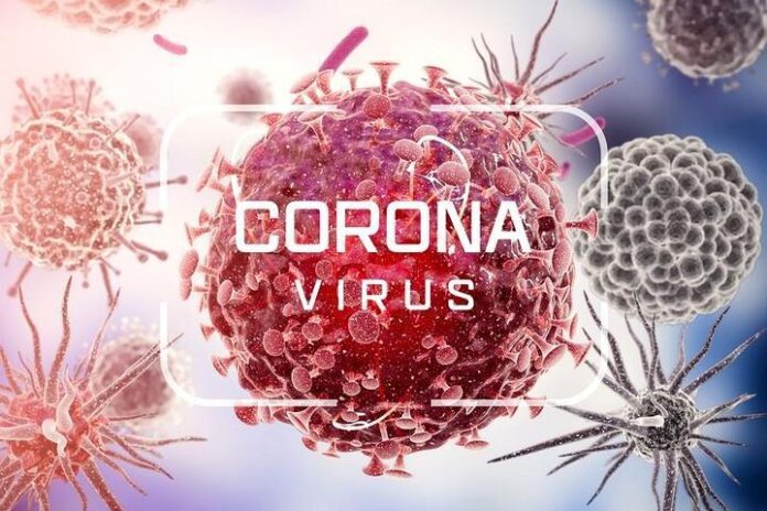 Corona Virus