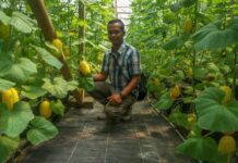 Anton Supriyono