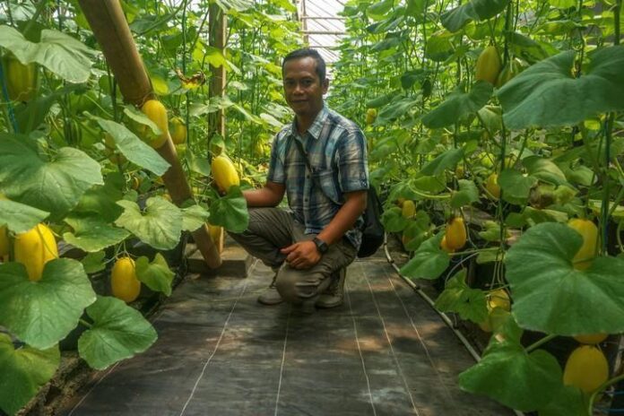 2020-09-14_Anton Supriyono Anton Supriyono