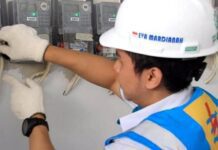 Petugas PLN