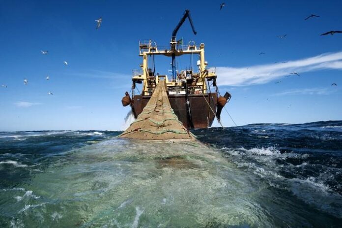 Ilustrasi Illegal Fishing