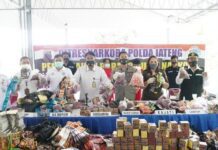 Pemusnahan jamu tradisional palsu