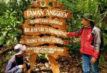 Toni Artaka, Taman Anggrek