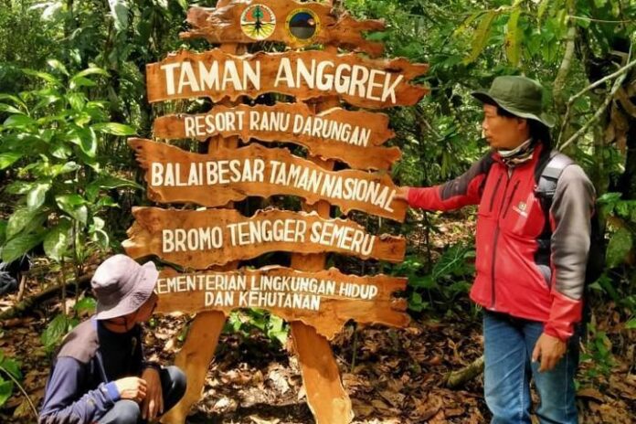 Toni Artaka, Taman Anggrek