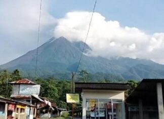 Gunung Merapi terlihat dari Ngrangkah