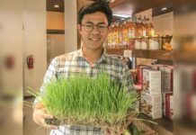 Adhitya Herwin Dwiputra