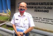 Iis Widya Harmoko