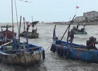 Kapal milik nelayan Tambaklorok terombang-ambing di dermaga