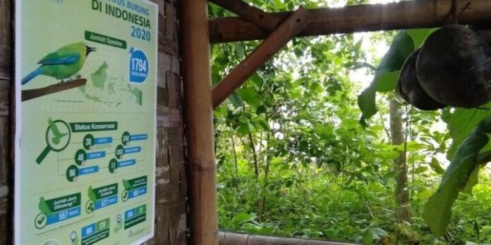 Taman Hutan Micro di Desa Serbajadi