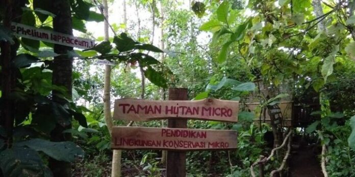Taman Hutan Micro di Desa Serbajadi