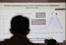 Tampilan grafik penanganan pandemi di Jateng