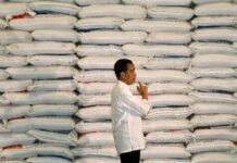 Jokowi Import Beras