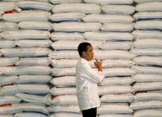 Jokowi Import Beras