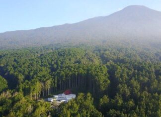 Balai Kebun Raya Baturraden Banyumas