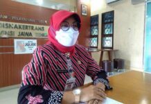 Sakina Rosellasari