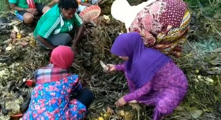 Tradisi Bakar Batu Komunitas Muslim