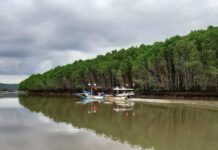 Teluk Pangpang