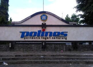 Polines