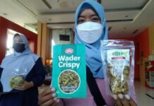 Pelaku UMKM kripik wader