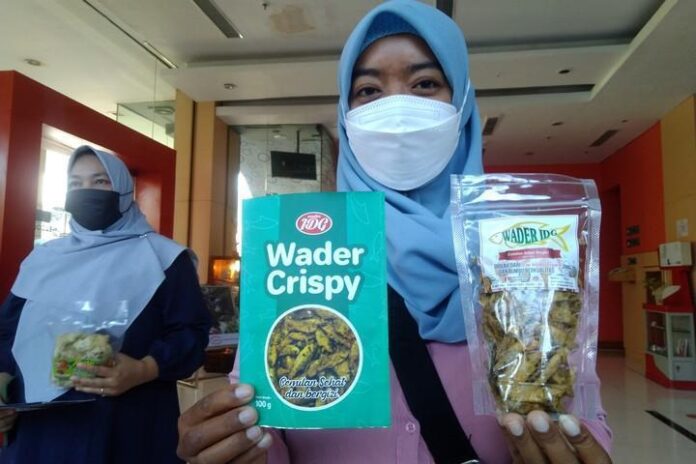 Pelaku UMKM kripik wader Pelaku UMKM kripik wader