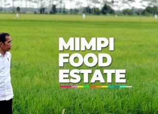 Mimpi Food Estate