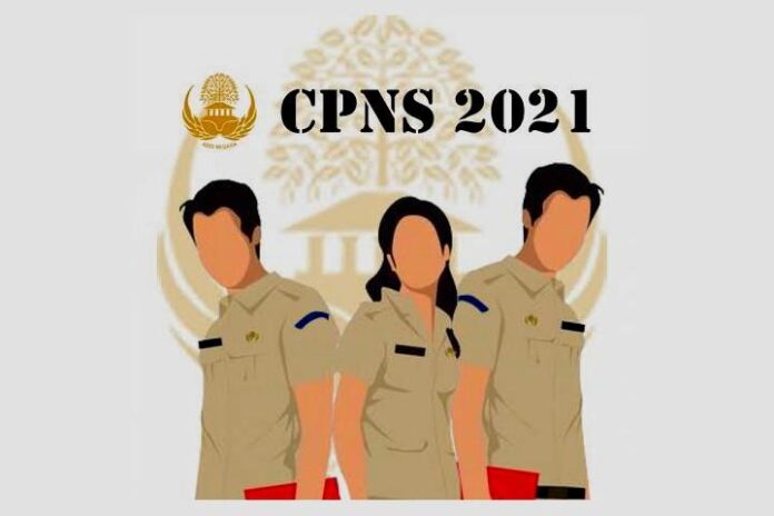 CPNS