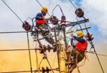 PLN