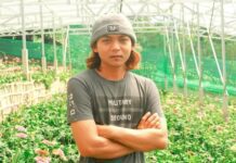 Didi Setiadi