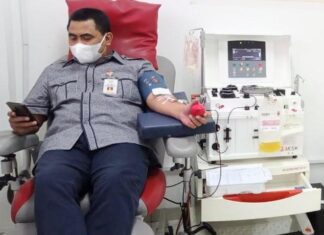 Donor plasma konvalesen