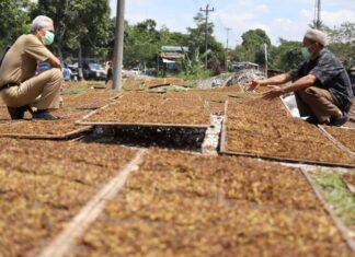 Ganjar Pranowo saat berbincang dengan petani tembakau