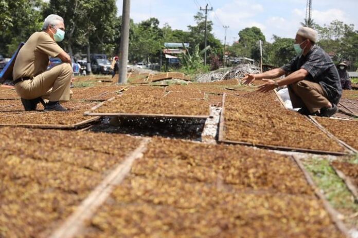 Ganjar Pranowo saat berbincang dengan petani tembakau