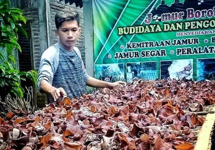 Puput Setyoko Puput Setyoko